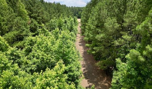 Photo #18 of SOLD property in Off Wilcox Ln, Vanceboro, NC 57.8 acres
