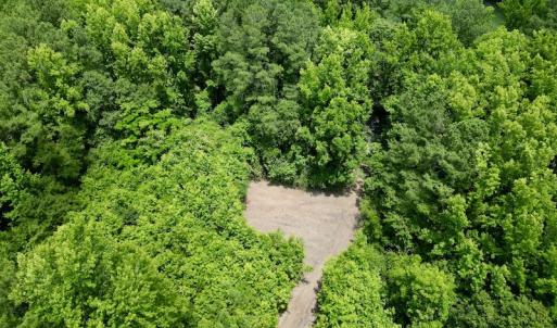 Photo #20 of SOLD property in Off Wilcox Ln, Vanceboro, NC 57.8 acres