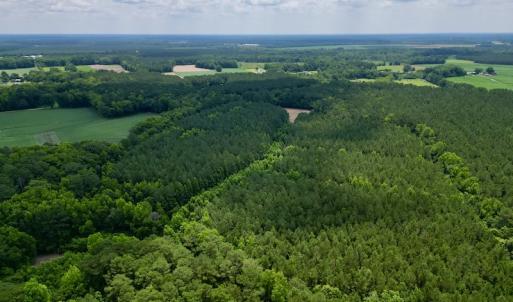Photo #3 of SOLD property in Off Wilcox Ln, Vanceboro, NC 57.8 acres