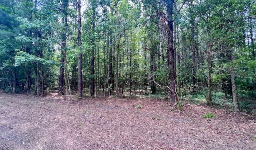 Photo #25 of SOLD property in Off Wilcox Ln, Vanceboro, NC 57.8 acres