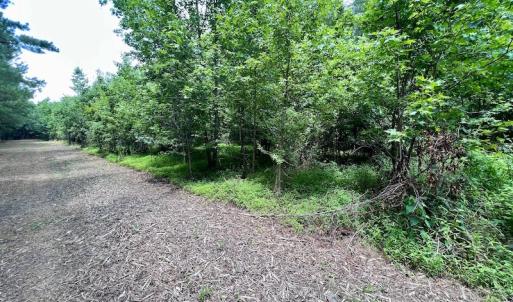 Photo #26 of SOLD property in Off Wilcox Ln, Vanceboro, NC 57.8 acres