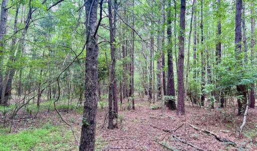 Photo #28 of SOLD property in Off Wilcox Ln, Vanceboro, NC 57.8 acres
