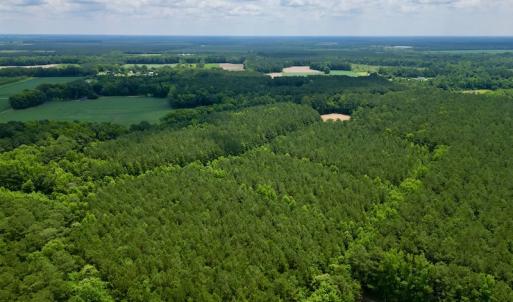 Photo #4 of SOLD property in Off Wilcox Ln, Vanceboro, NC 57.8 acres