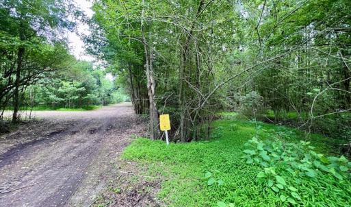Photo #31 of SOLD property in Off Wilcox Ln, Vanceboro, NC 57.8 acres