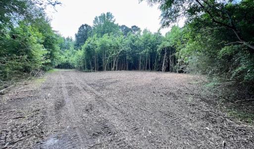Photo #32 of SOLD property in Off Wilcox Ln, Vanceboro, NC 57.8 acres