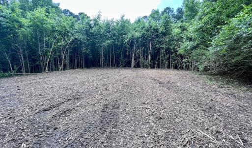 Photo #33 of SOLD property in Off Wilcox Ln, Vanceboro, NC 57.8 acres