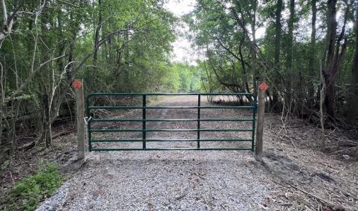 Photo #34 of SOLD property in Off Wilcox Ln, Vanceboro, NC 57.8 acres