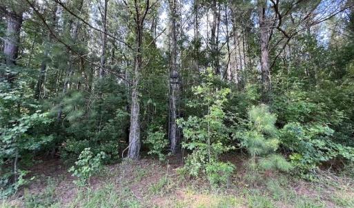 Photo #35 of SOLD property in Off Wilcox Ln, Vanceboro, NC 57.8 acres