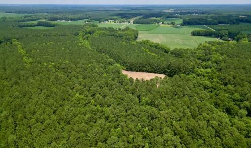 Photo #6 of SOLD property in Off Wilcox Ln, Vanceboro, NC 57.8 acres