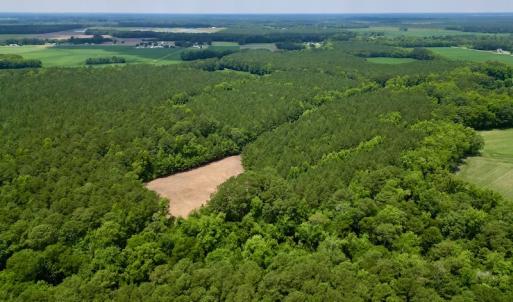 Photo #7 of SOLD property in Off Wilcox Ln, Vanceboro, NC 57.8 acres