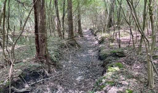 Photo #45 of SOLD property in Off Wilcox Ln, Vanceboro, NC 57.8 acres