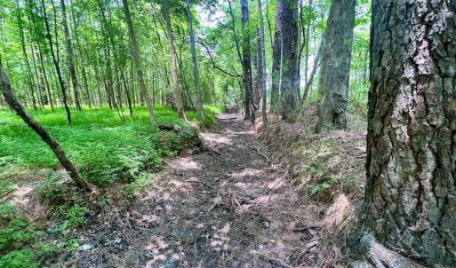 Photo #47 of SOLD property in Off Wilcox Ln, Vanceboro, NC 57.8 acres