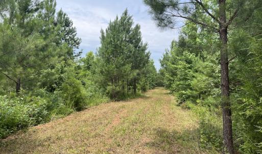 Photo #3 of SOLD property in Off Powells Mill Road, Warrenton, NC 15.0 acres