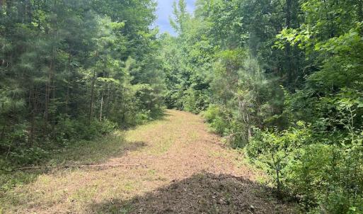 Photo #7 of SOLD property in Off Powells Mill Road, Warrenton, NC 15.0 acres