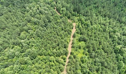 Photo #9 of SOLD property in Off Powells Mill Road, Warrenton, NC 15.0 acres