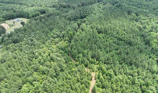 Photo #10 of SOLD property in Off Powells Mill Road, Warrenton, NC 15.0 acres