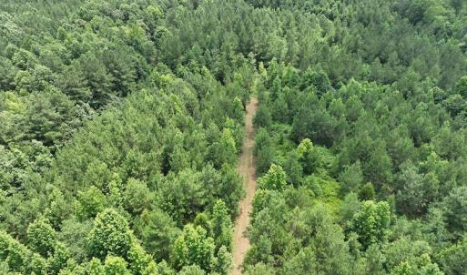 Photo #11 of SOLD property in Off Powells Mill Road, Warrenton, NC 15.0 acres