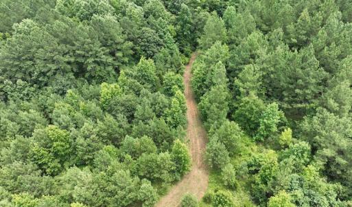Photo #12 of SOLD property in Off Powells Mill Road, Warrenton, NC 15.0 acres