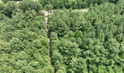 Photo #13 of SOLD property in Off Powells Mill Road, Warrenton, NC 15.0 acres