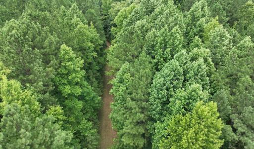 Photo #17 of SOLD property in Off Powells Mill Road, Warrenton, NC 15.0 acres