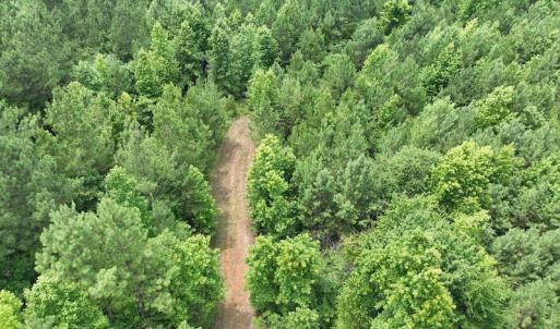 Photo #18 of SOLD property in Off Powells Mill Road, Warrenton, NC 15.0 acres
