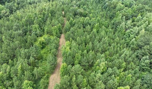 Photo #19 of SOLD property in Off Powells Mill Road, Warrenton, NC 15.0 acres