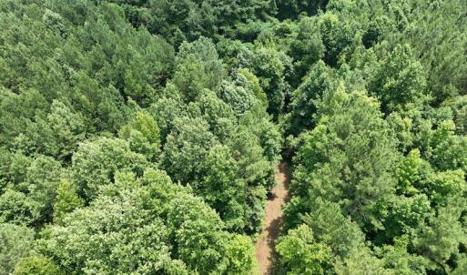 Photo #20 of SOLD property in Off Powells Mill Road, Warrenton, NC 15.0 acres