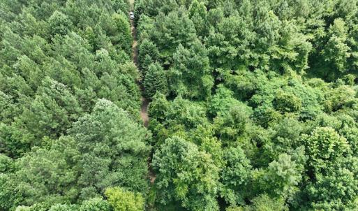 Photo #21 of SOLD property in Off Powells Mill Road, Warrenton, NC 15.0 acres