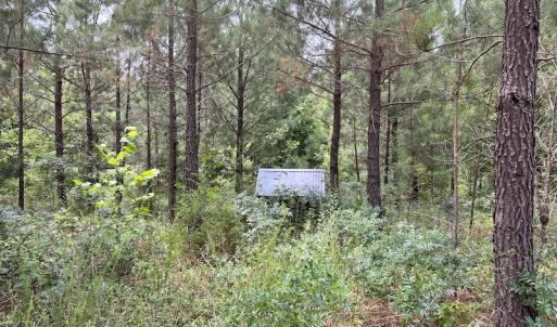 Photo #22 of SOLD property in Off Powells Mill Road, Warrenton, NC 15.0 acres
