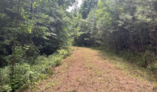 Photo #25 of SOLD property in Off Powells Mill Road, Warrenton, NC 15.0 acres