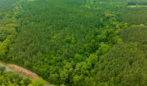 Photo #7 of SOLD property in Off Mill Creek Road, Roxboro, NC 49.0 acres