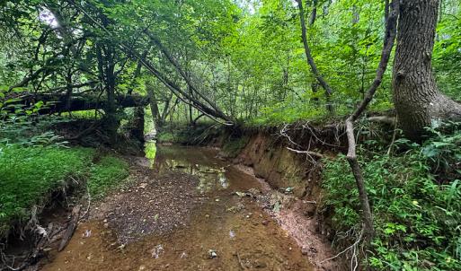 Photo #8 of SOLD property in Off Mill Creek Road, Roxboro, NC 49.0 acres