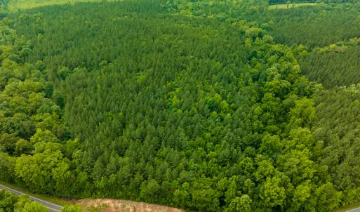 Photo #13 of SOLD property in Off Mill Creek Road, Roxboro, NC 49.0 acres