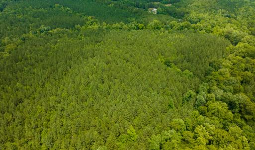Photo #16 of SOLD property in Off Mill Creek Road, Roxboro, NC 49.0 acres