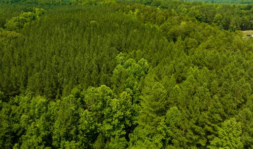 Photo #19 of SOLD property in Off Mill Creek Road, Roxboro, NC 49.0 acres