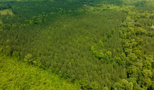 Photo #21 of SOLD property in Off Mill Creek Road, Roxboro, NC 49.0 acres