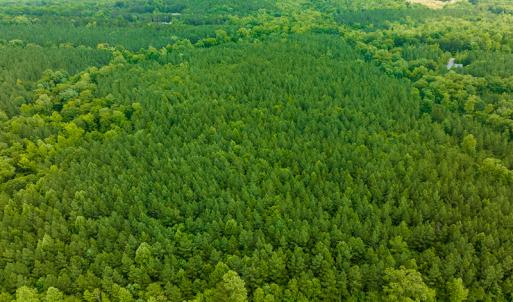 Photo #23 of SOLD property in Off Mill Creek Road, Roxboro, NC 49.0 acres
