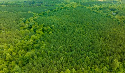 Photo #24 of SOLD property in Off Mill Creek Road, Roxboro, NC 49.0 acres