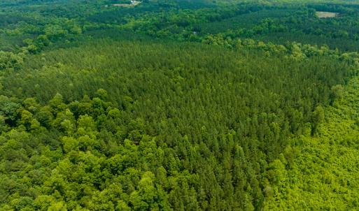 Photo #27 of SOLD property in Off Mill Creek Road, Roxboro, NC 49.0 acres