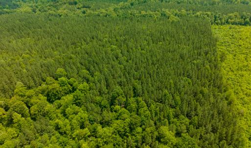 Photo #30 of SOLD property in Off Mill Creek Road, Roxboro, NC 49.0 acres