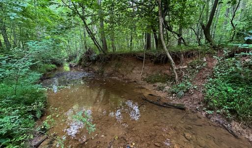 Photo #31 of SOLD property in Off Mill Creek Road, Roxboro, NC 49.0 acres