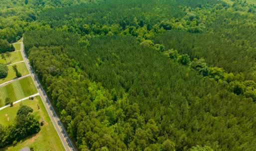 Photo #32 of SOLD property in Off Mill Creek Road, Roxboro, NC 49.0 acres