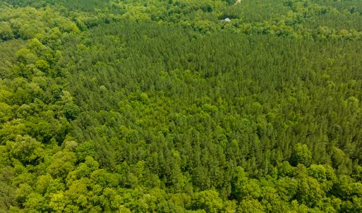 Photo #34 of SOLD property in Off Mill Creek Road, Roxboro, NC 49.0 acres