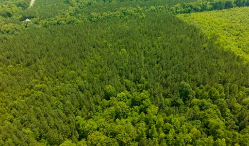 Photo #36 of SOLD property in Off Mill Creek Road, Roxboro, NC 49.0 acres