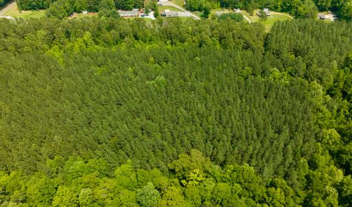Photo #38 of SOLD property in Off Mill Creek Road, Roxboro, NC 49.0 acres