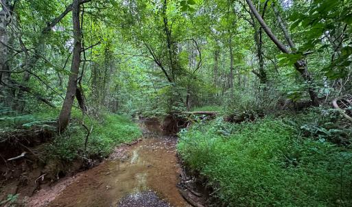 Photo #39 of SOLD property in Off Mill Creek Road, Roxboro, NC 49.0 acres