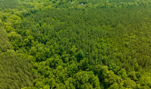 Photo #40 of SOLD property in Off Mill Creek Road, Roxboro, NC 49.0 acres