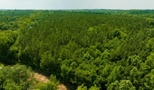 Photo #41 of SOLD property in Off Mill Creek Road, Roxboro, NC 49.0 acres