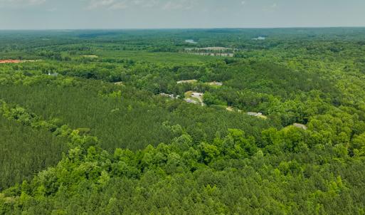 Photo #42 of SOLD property in Off Mill Creek Road, Roxboro, NC 49.0 acres