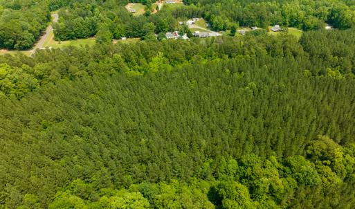 Photo #43 of SOLD property in Off Mill Creek Road, Roxboro, NC 49.0 acres